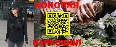 прущие грибы Заволжье