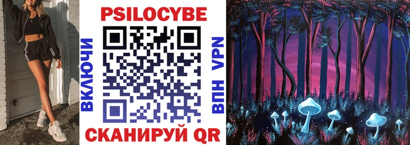 Псилоцибиновые грибы Psilocybine cubensis  Ярославль 