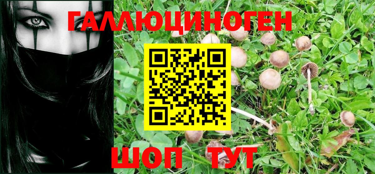 Псилоцибиновые грибы GOLDEN TEACHER  Вход с VPN  Ярославль 